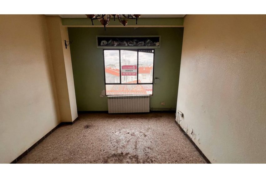 2052_29245503281_7b3b7195-7f1a-492e-9bdd-e32ae8fa01f3