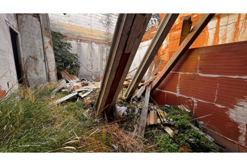 2052_373306595_4e4c4364-1505-474d-924e-154c43bfe800