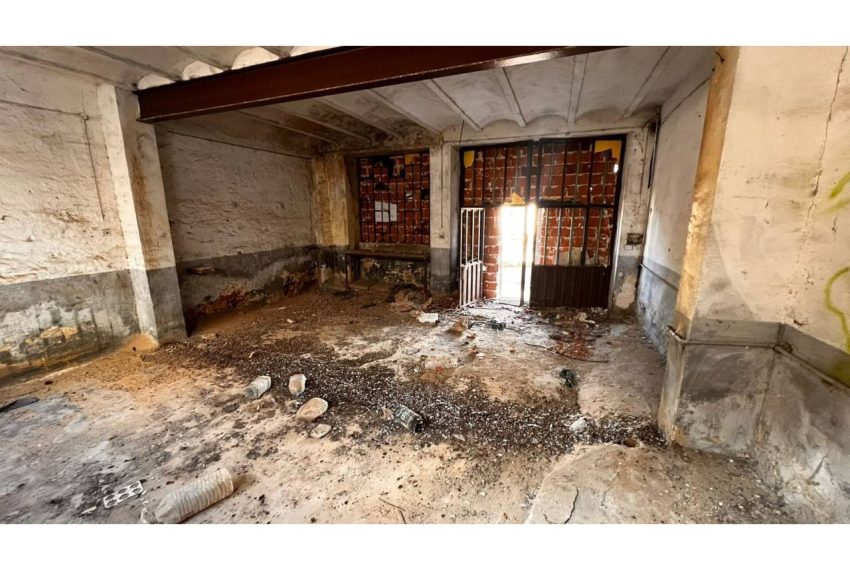 2052_373306595_bafcc785-154e-4950-9a2c-e7f3d4a87506