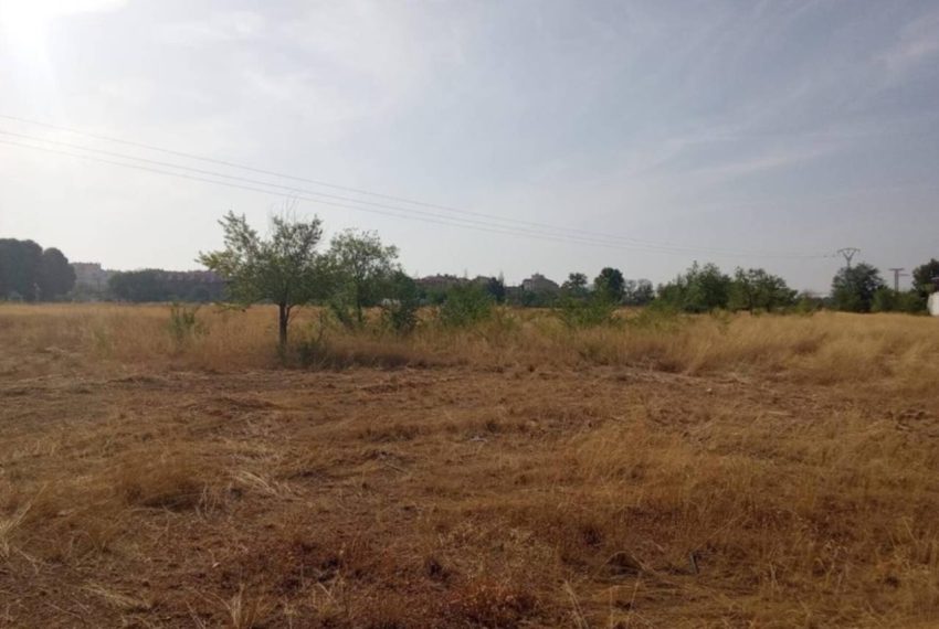 2052_59206465287_069ab472-c050-43ad-aacc-4e2924b9d8ae