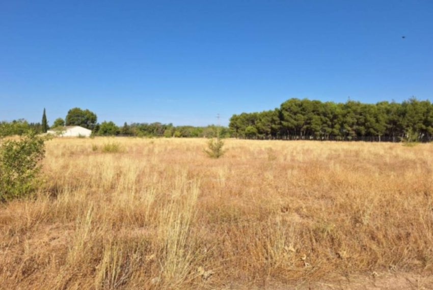 2052_59206465287_2aaffce2-bc49-4980-9f34-e65aa290cad7