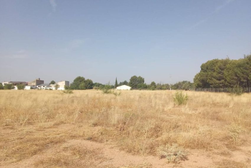 2052_59206465287_57c030a9-043a-4997-af8c-26cd4d1b715f