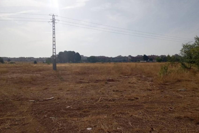 2052_59206465287_90089570-db0e-459a-8c55-de811780220e