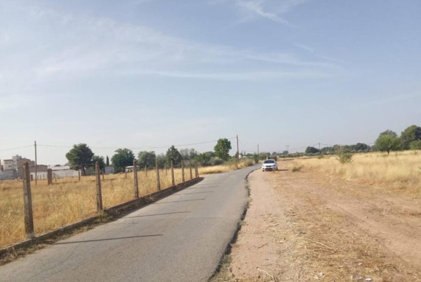 2052_59206465287_a76a8413-cd1f-46fe-ac25-b00ebc318c83