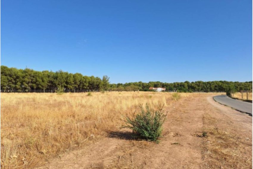 2052_59206465287_c620d5da-e66c-46a1-807e-a2cf0329eea2