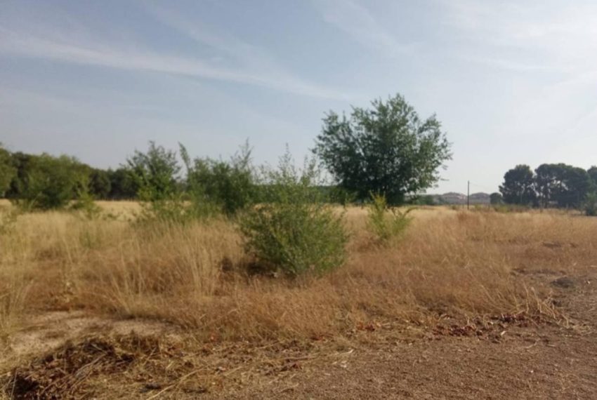 2052_59206465287_e14c1aee-c854-4158-85f1-b8f018a8e771