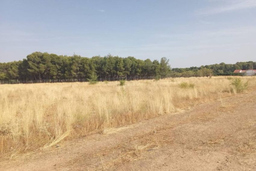 2052_59206465287_ee4ee1b7-49eb-493c-b480-3f6d96ba5fb6