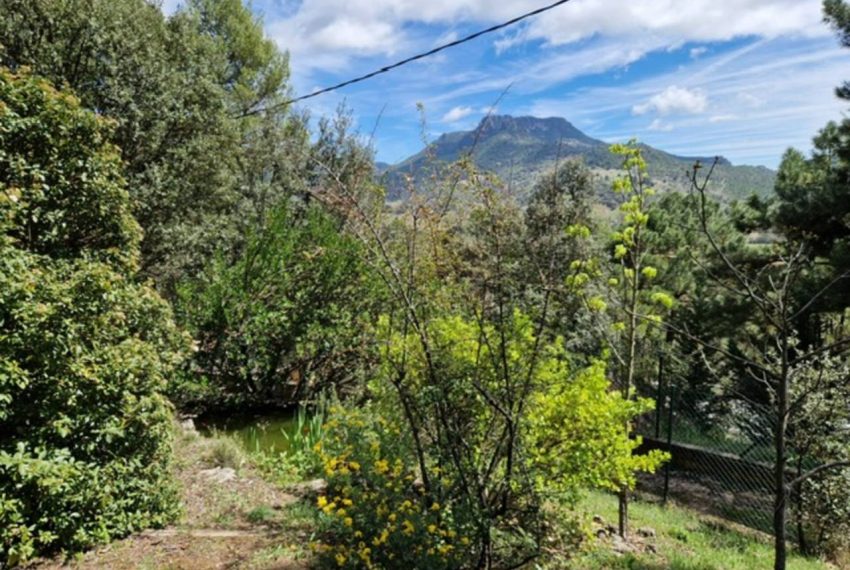 2052_59227864730_4529af9b-658b-4d6e-9c91-d850c97930ff