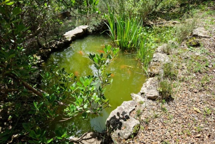 2052_59227864730_be9707f5-1f55-458a-b517-ef5008b3a55a