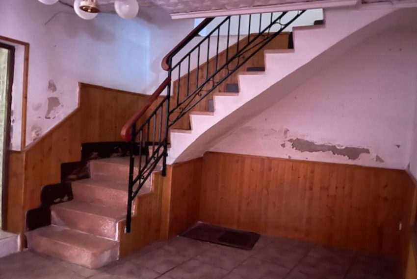 3462_60026364531_1b543591-9836-4591-8a68-89ba4f440c3e