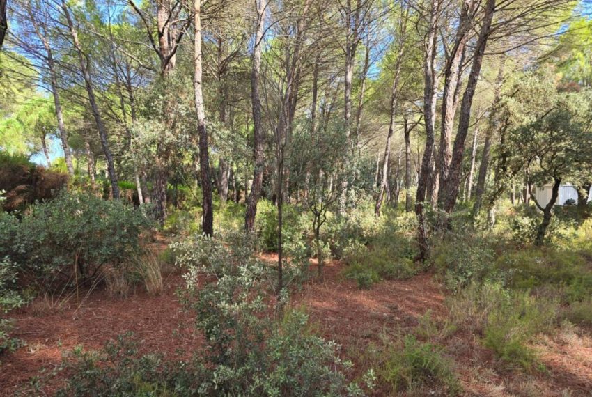 2052_61758518330_17b55935-0b6a-4784-ad06-2cbaf30dbff7