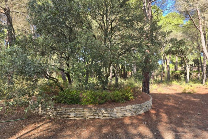 2052_61758518330_28b03060-09c8-4ccf-b046-e5b34491dedf