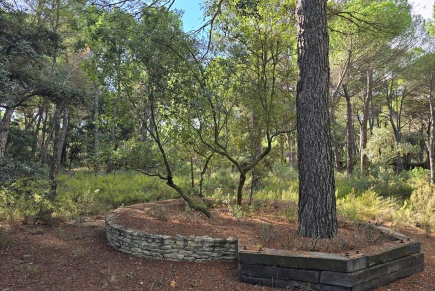 2052_61758518330_2a20b7f6-7394-418e-9f36-bf5448036f0c