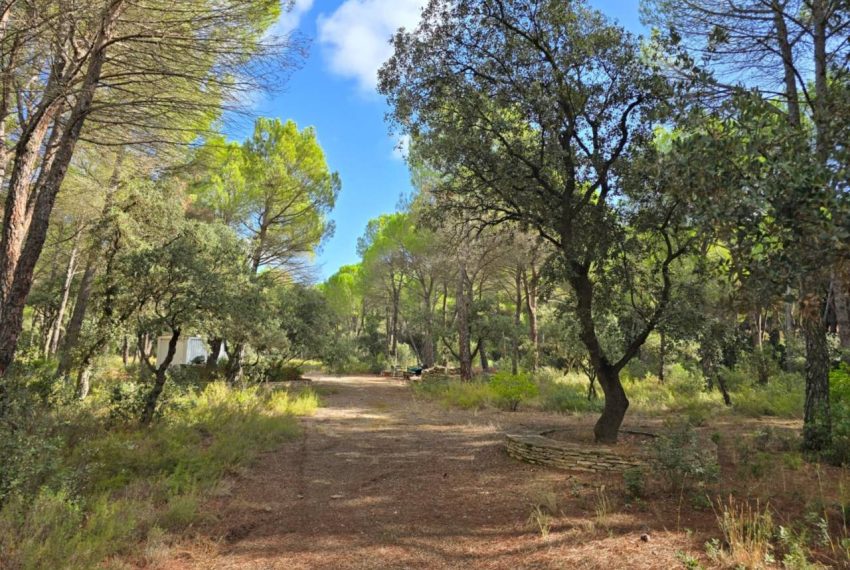 2052_61758518330_58274f10-ada6-4f50-85cb-c787acbb7de6