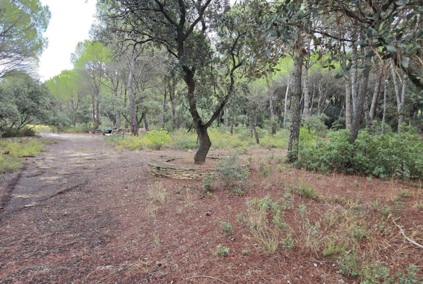 2052_61758518330_5e6dcc1c-71c3-4d1f-b8b0-2d8554b8a126