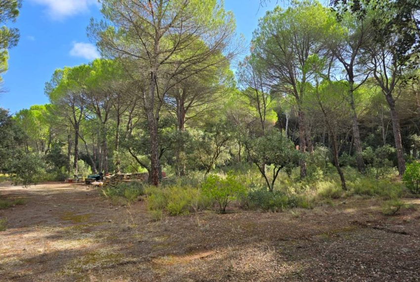 2052_61758518330_d077a400-da88-4e30-89ca-46bb572489f2