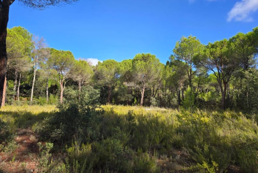 2052_61758518330_d9f16711-9b3b-4a30-ab30-a9a5eac4716f