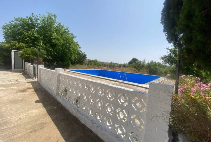 3462_55024215460_847d4f74-99c3-4333-afcc-ec7fd2bbb9e8