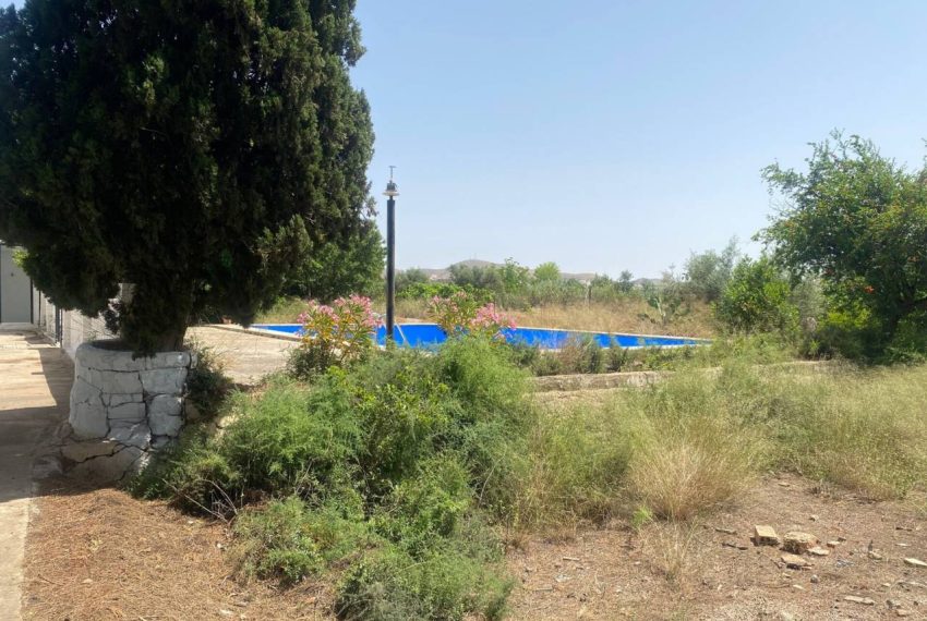 3462_55024215460_b79bfdd8-5a4c-4d98-a8c3-490f110ae6ce