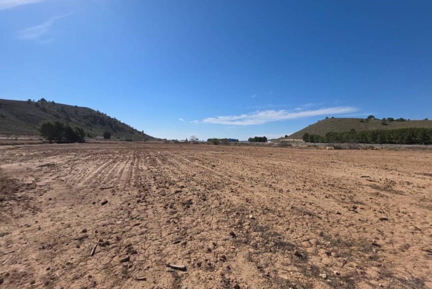 3462_61729363300_111518f3-0257-402d-9316-23311b54b8d1