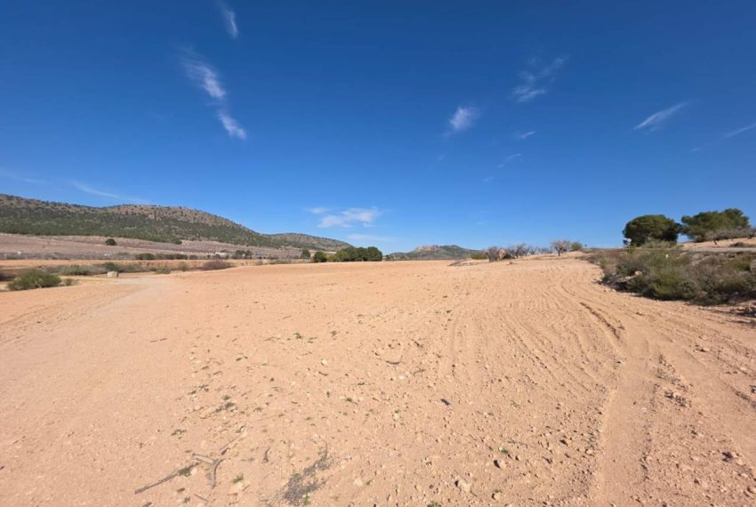 3462_61729363300_26eca9ce-6493-430b-9abf-5f473e46bda7