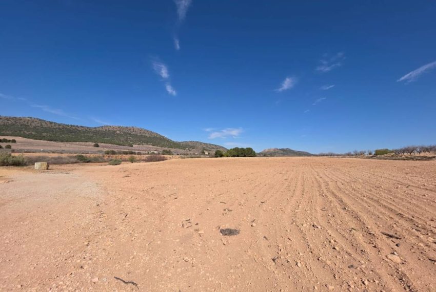 3462_61729363300_31f303af-5d71-42b7-bed4-d16bfe2dfd69