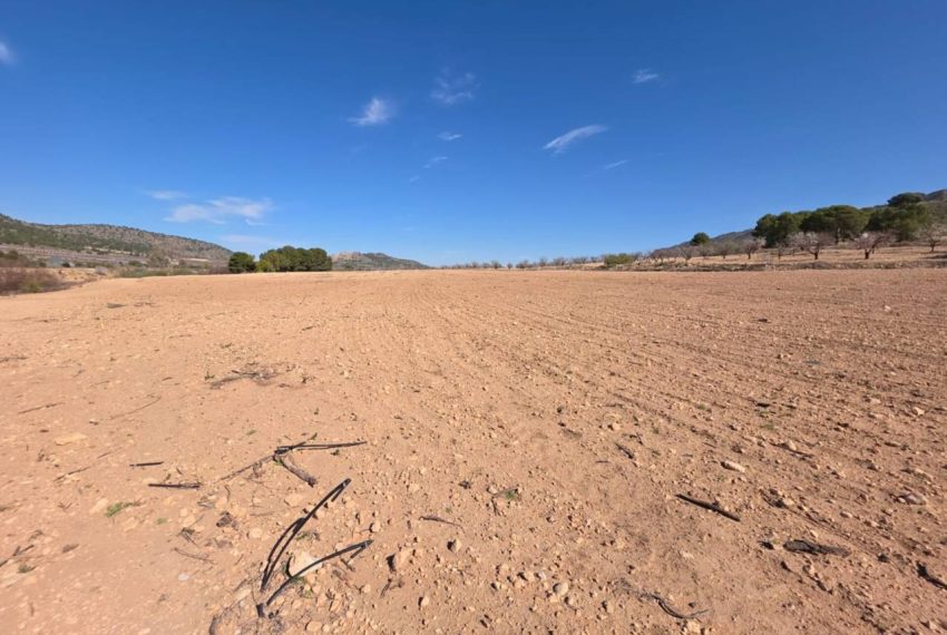 3462_61729363300_61816544-1e65-421a-b0c8-a14d131d916d