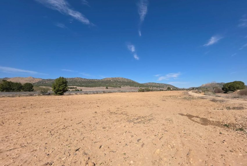 3462_61729363300_7809360e-012b-46e2-938a-1ac2a374de33