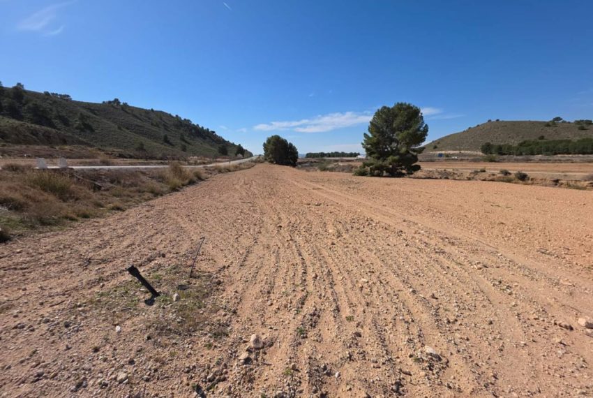 3462_61729363300_ab39e259-1359-40a5-be4f-9b7a1ef305f4