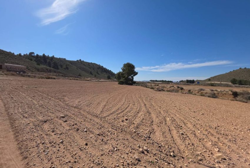 3462_61729363300_f527a17b-2db4-4874-9bc2-4fe746b9f575